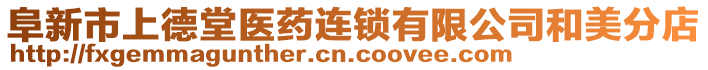 阜新市上德堂醫(yī)藥連鎖有限公司和美分店