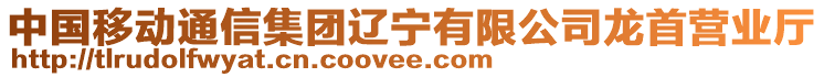 中國移動通信集團遼寧有限公司龍首營業(yè)廳