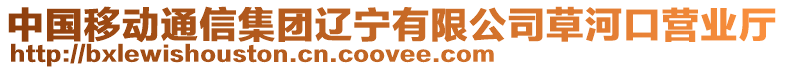 中國(guó)移動(dòng)通信集團(tuán)遼寧有限公司草河口營(yíng)業(yè)廳