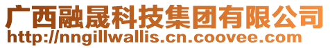 廣西融晟科技集團(tuán)有限公司