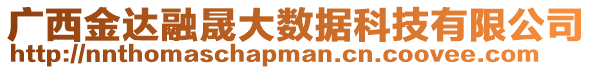 廣西金達(dá)融晟大數(shù)據(jù)科技有限公司