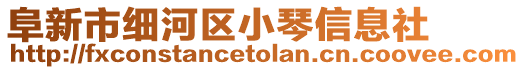 阜新市細河區(qū)小琴信息社