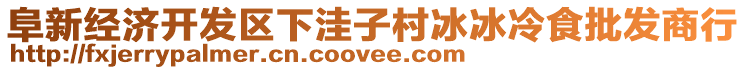 阜新經(jīng)濟開發(fā)區(qū)下洼子村冰冰冷食批發(fā)商行