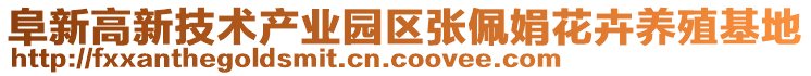 阜新高新技術(shù)產(chǎn)業(yè)園區(qū)張佩娟花卉養(yǎng)殖基地