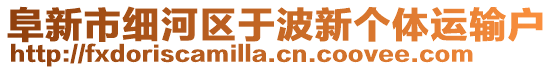 阜新市細河區(qū)于波新個體運輸戶