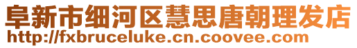 阜新市細河區慧思唐朝理發店