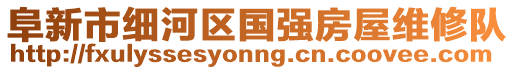 阜新市細河區國強房屋維修隊