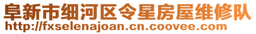 阜新市細(xì)河區(qū)令星房屋維修隊(duì)