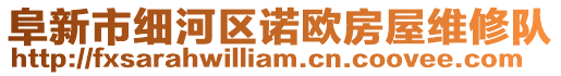 阜新市細河區諾歐房屋維修隊