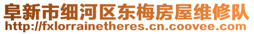 阜新市細河區東梅房屋維修隊