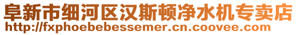 阜新市細(xì)河區(qū)漢斯頓凈水機(jī)專賣店