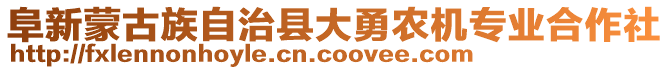 阜新蒙古族自治縣大勇農(nóng)機(jī)專業(yè)合作社