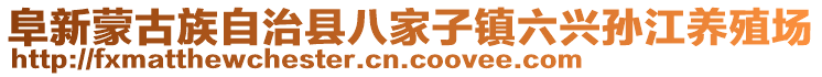 阜新蒙古族自治縣八家子鎮(zhèn)六興孫江養(yǎng)殖場(chǎng)