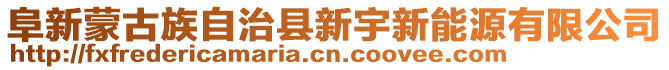 阜新蒙古族自治縣新宇新能源有限公司