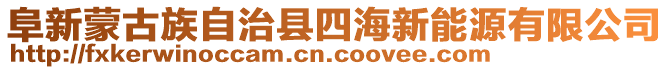 阜新蒙古族自治縣四海新能源有限公司