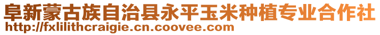 阜新蒙古族自治縣永平玉米種植專業合作社