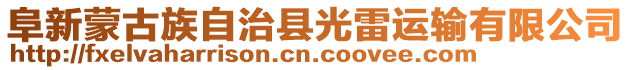 阜新蒙古族自治縣光雷運輸有限公司