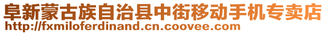阜新蒙古族自治縣中街移動手機專賣店