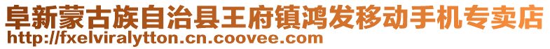 阜新蒙古族自治縣王府鎮鴻發移動手機專賣店