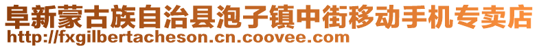 阜新蒙古族自治縣泡子鎮(zhèn)中街移動手機專賣店