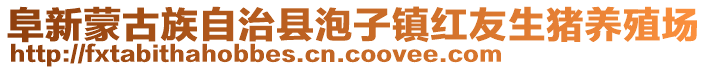 阜新蒙古族自治縣泡子鎮紅友生豬養殖場