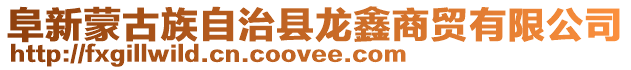 阜新蒙古族自治縣龍鑫商貿有限公司