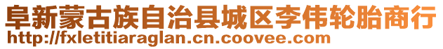 阜新蒙古族自治縣城區(qū)李偉輪胎商行