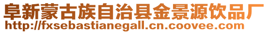 阜新蒙古族自治縣金景源飲品廠