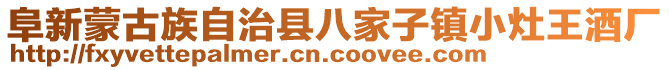 阜新蒙古族自治縣八家子鎮小灶王酒廠