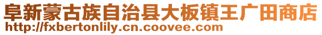 阜新蒙古族自治縣大板鎮王廣田商店