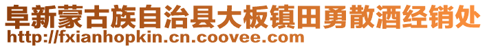 阜新蒙古族自治縣大板鎮田勇散酒經銷處