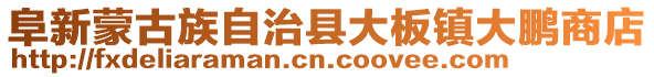 阜新蒙古族自治縣大板鎮大鵬商店