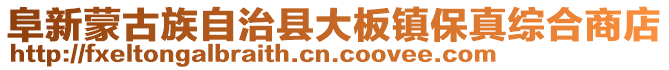 阜新蒙古族自治縣大板鎮保真綜合商店