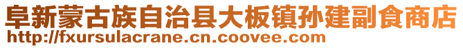 阜新蒙古族自治縣大板鎮(zhèn)孫建副食商店