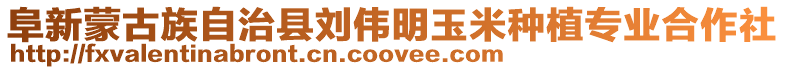 阜新蒙古族自治縣劉偉明玉米種植專業合作社