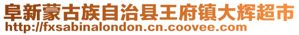 阜新蒙古族自治縣王府鎮(zhèn)大輝超市