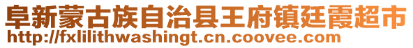 阜新蒙古族自治縣王府鎮(zhèn)廷霞超市