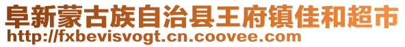 阜新蒙古族自治縣王府鎮(zhèn)佳和超市