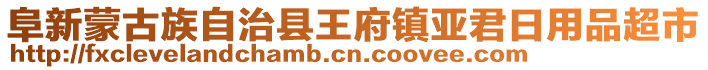 阜新蒙古族自治縣王府鎮(zhèn)亞君日用品超市