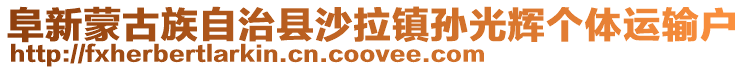 阜新蒙古族自治縣沙拉鎮(zhèn)孫光輝個(gè)體運(yùn)輸戶(hù)