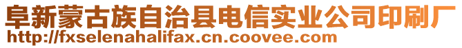 阜新蒙古族自治县电信实业公司印刷厂