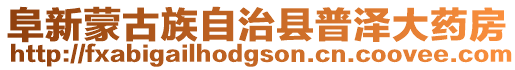 阜新蒙古族自治縣普澤大藥房