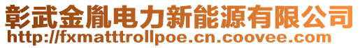 彰武金胤電力新能源有限公司