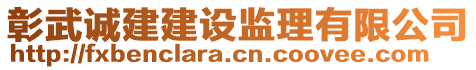 彰武誠建建設(shè)監(jiān)理有限公司