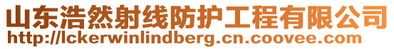 山東浩然射線防護工程有限公司