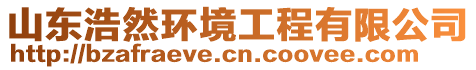 山東浩然環(huán)境工程有限公司