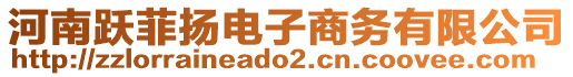 河南躍菲揚(yáng)電子商務(wù)有限公司