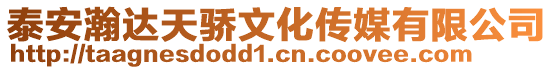泰安瀚達天驕文化傳媒有限公司