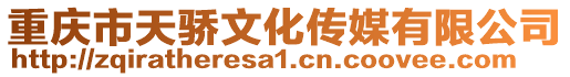 重庆市天骄文化传媒有限公司