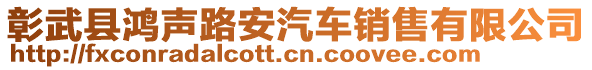 彰武縣鴻聲路安汽車銷售有限公司